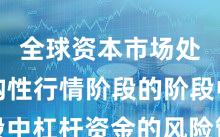 全球资本市场处于结构性行情阶段的阶段中杠杆资金的风险管理阶段